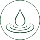 Sorgente logo